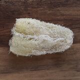 old loofah with fibers breaking down